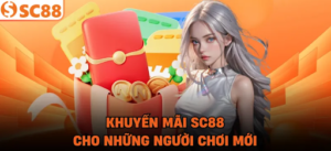 Hệ thống quyền lợi